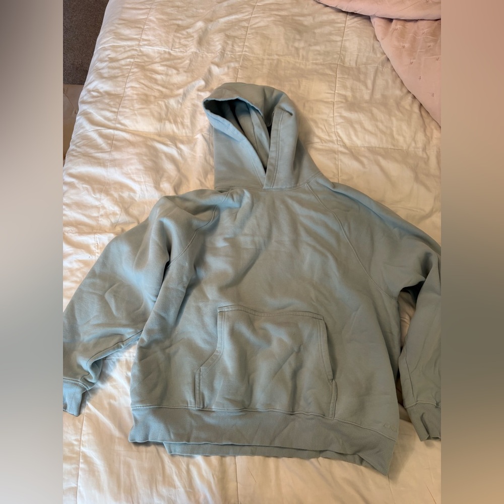 Aritzia hoodie